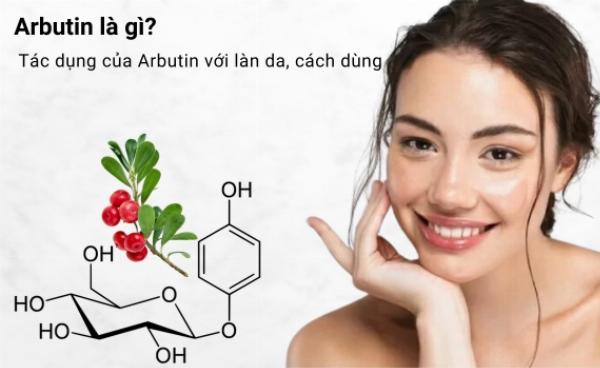 Một chú chó có mào không lông đang được chủ nhân bôi kem dưỡng da, thể hiện sự chăm sóc đặc biệt cần thiết cho làn da nhạy cảm của chúng.