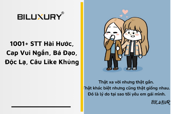 Một chú chó ngồi co ro trong góc, thể hiện sự lo lắng hoặc buồn bã, không quan tâm đến thức ăn