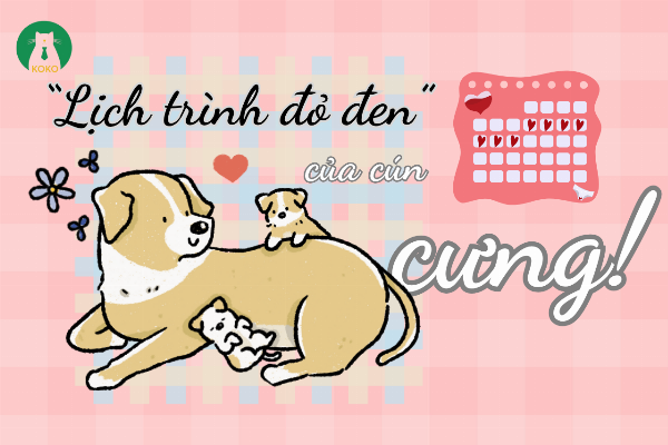 Chú chó đang dùng mũi ủi bát đồ ăn trong một không gian có vẻ bồn chồn, thể hiện sự lo lắng. 