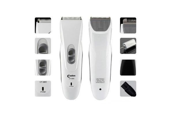 Bộ dụng cụ cắt lông chó tại nhà bao gồm tông đơ, kéo, lược, và các vật dụng cần thiết khác.