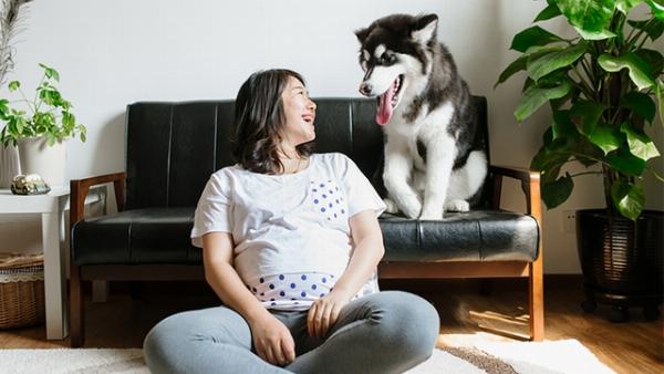 Một người phụ nữ đang nhỏ thuốc phòng rận cho chú chó của mình, thể hiện sự quan tâm chăm sóc sức khỏe định kỳ.