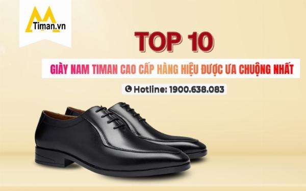 Nhiều giống chó tai dài khác nhau đang chơi đùa trong công viên, thể hiện sự đa dạng về màu sắc và kích cỡ, tất cả đều có đôi tai đặc trưng.