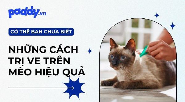Bộ sưu tập các sản phẩm trị bọ nhảy ở chó như dầu tắm, thuốc nhỏ gáy, vòng cổ.