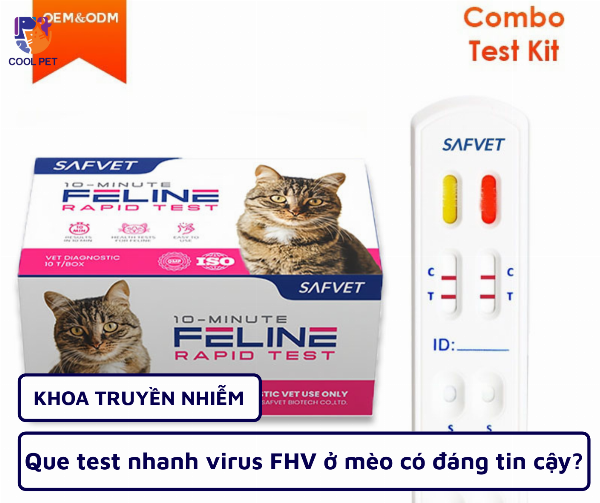 Các loại thuốc kháng virus hiện đại dùng để chữa bệnh FIP ở mèo, đặt trên nền y tế.