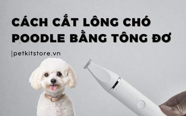Hình ảnh minh họa các tiêu chí chọn tông đơ cắt lông chó chuyên nghiệp, tập trung vào động cơ, lưỡi cắt và thiết kế.