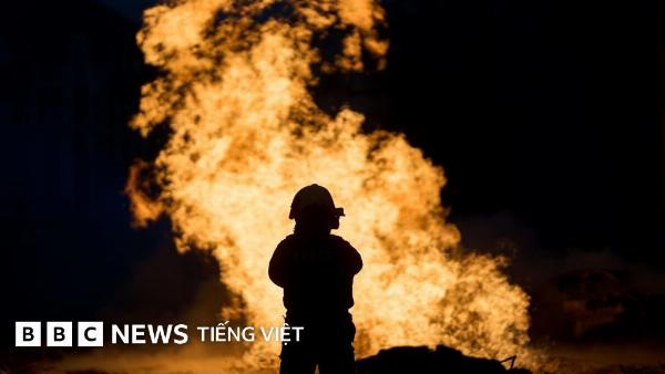Chuyên gia giao tiếp chia sẻ về ngôn ngữ văn minh, một người phụ nữ Việt Nam trung niên trong trang phục công sở, ngồi tại bàn làm việc với laptop, ánh sáng tự nhiên