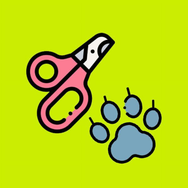 Mèo được vuốt ve an ủi sau khi cắt móng