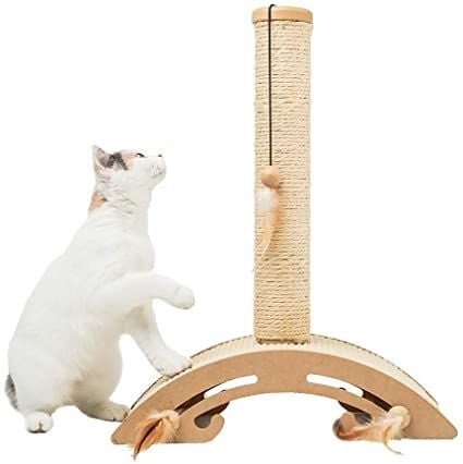 Mèo con vui đùa với đồ chơi mềm