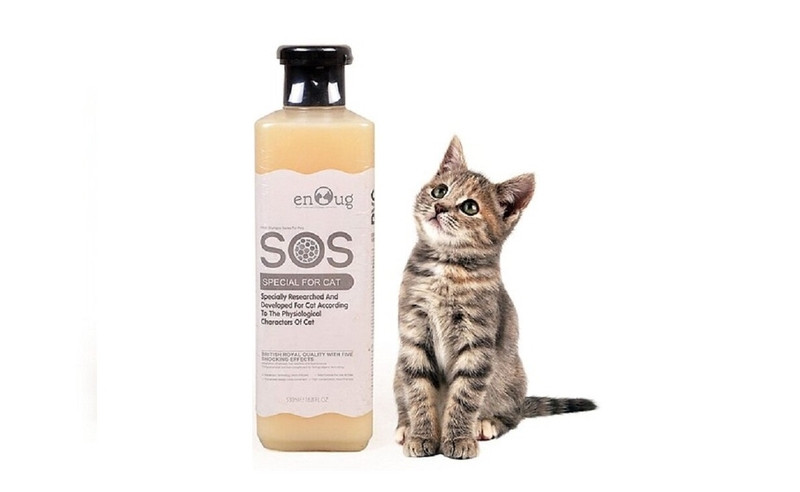 Chai sữa tắm chuyên dụng để điều trị và phòng ngừa rận cho mèo