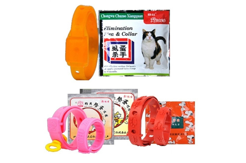 Vòng đeo cổ diệt rận với thiết kế thời trang cho mèo