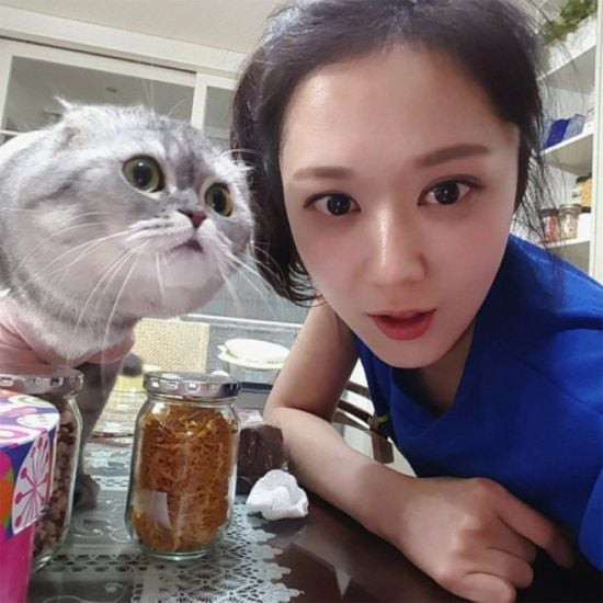 Mèo con cuộn mình ngủ trong lòng chủ