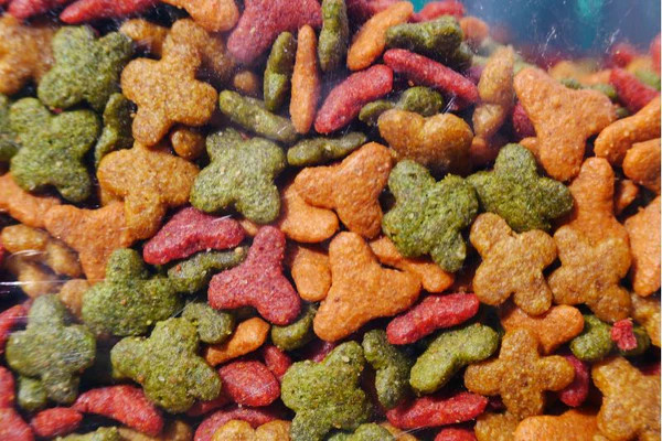 Tổng quan các loại hạt dành cho chó con dưới 1 tuổi