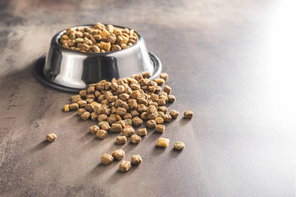 Thức ăn hạt cho chó con cần giàu dinh dưỡng