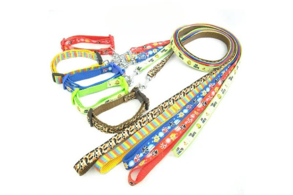 Một chú mèo đeo vòng cổ màu xanh lá cây, nhìn nghiêng