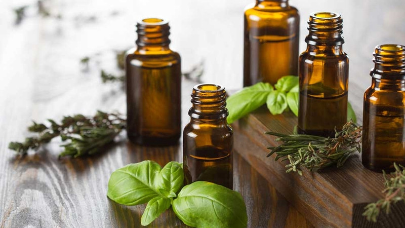 Bôi tinh dầu tràm trà lên vết cắn bọ chét giúp kháng viêm và giảm sưng ngứa hiệu quả