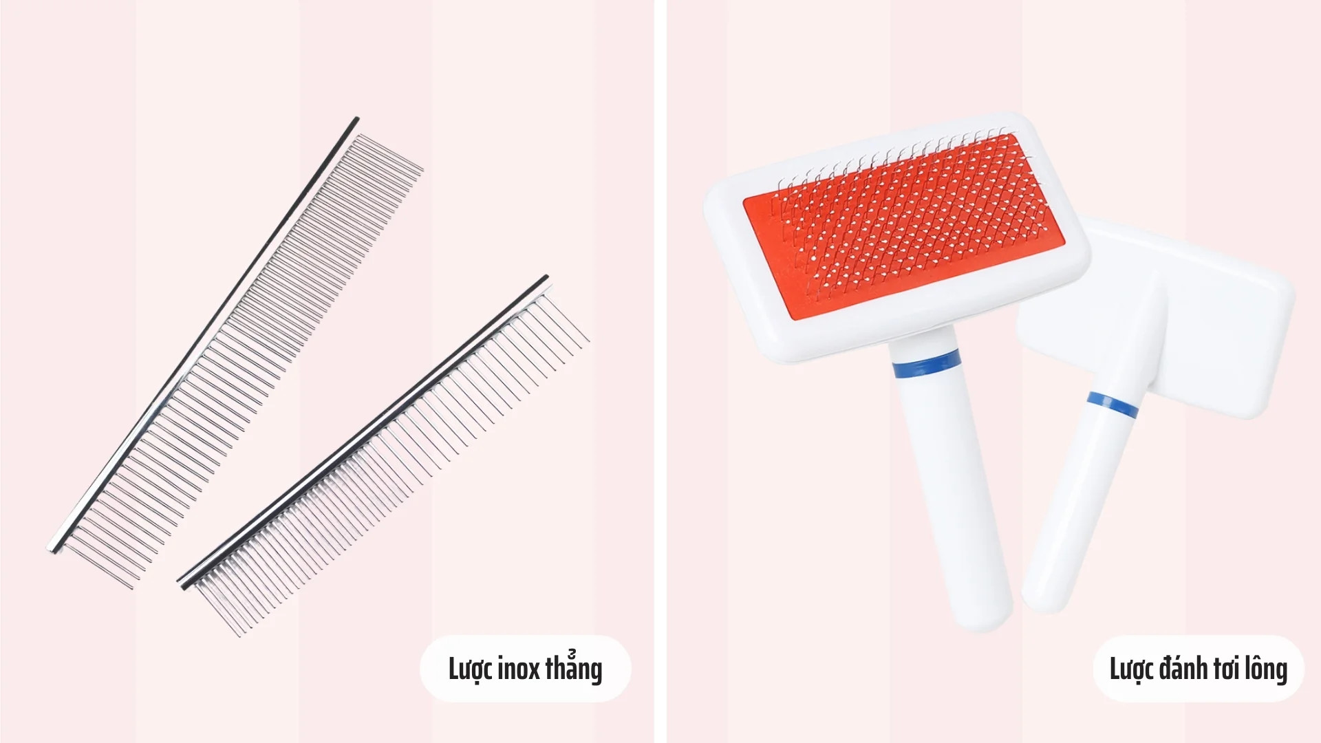 Lược inox và lược đánh bông chuyên dụng cho chó Poodle lông xoăn