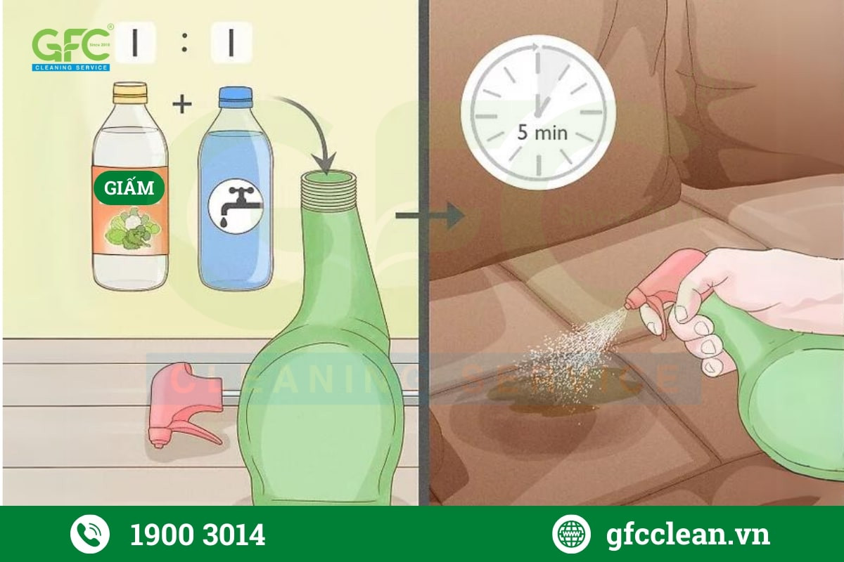 Giấm trắng có tính axit nên có thể khử mùi nước tiểu mèo trên nệm hoặc ghế da