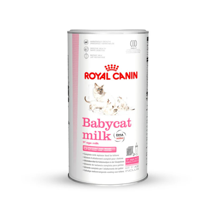 Sữa bột Royal Canin Babycat Milk chuyên dụng cho mèo con