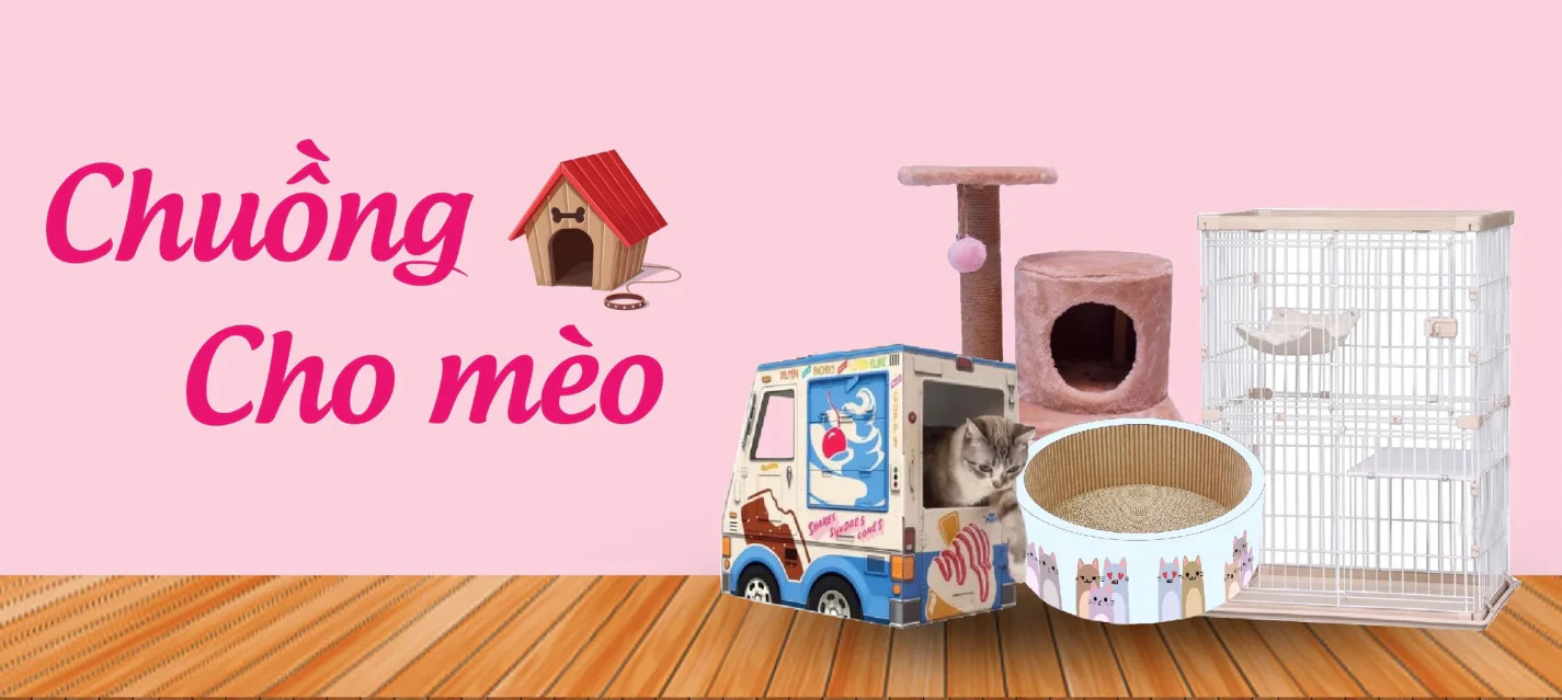 Chú mèo đang nằm thoải mái trong chuồng, biểu cảm thư giãn