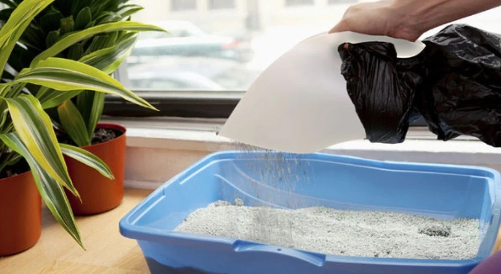 Khay cát vệ sinh kèm xẻng và túi đựng chất thải cho mèo