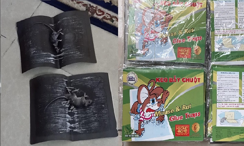 Keo dính chuột dạng bìa giấy thường được dùng để bẫy chuột nhỏ và chuột nhà