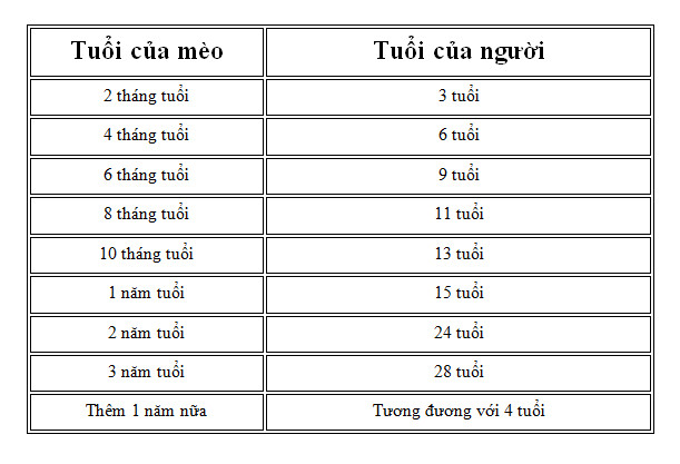 Biểu đồ so sánh tương quan giữa tuổi mèo và tuổi người