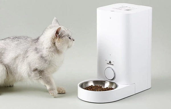 Một chú mèo Tam thể đang ăn thức ăn từ máy cho mèo ăn tự động màu trắng