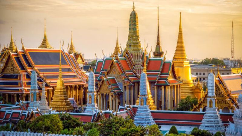 Chú mèo Khao Manee có nguồn gốc cổ xưa từ đất nước Thái Lan