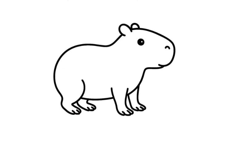 tô màu cabybara